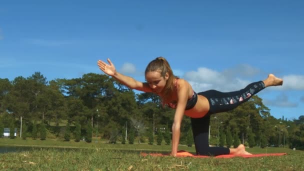 Closeup Mooi Meisje Doet Yoga Oefeningen Rivier Bank Tegen Verbazingwekkende — Stockvideo