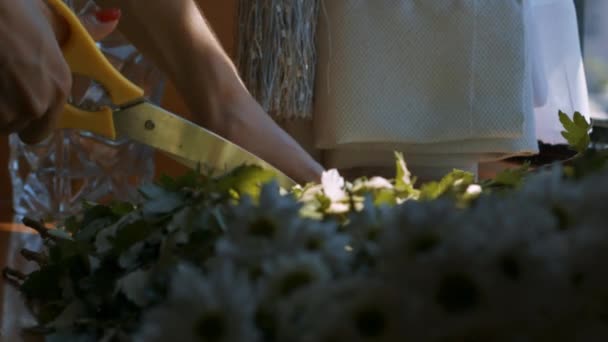 Macro Vrouw Met Rode Manicure Afsnijdt Bloemen Wortels Met Gele — Stockvideo