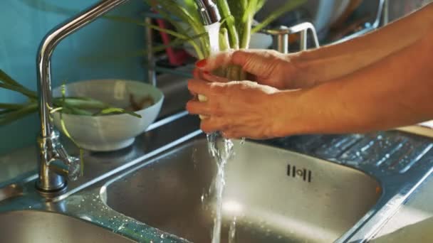 Chica Primer Plano Toma Cebolla Verde Fresca Lavados Tazón Blanco — Vídeos de Stock