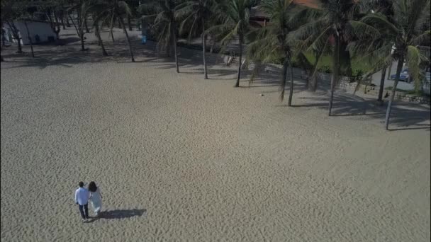 Panorama Casal Apaixonado Segura Mãos Caminha Praia Direção Palmas Exóticas — Vídeo de Stock