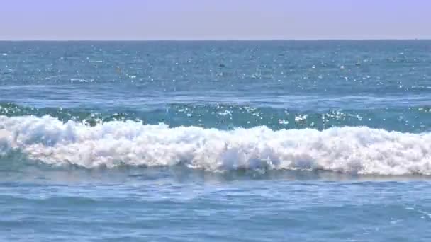 Cara Surfista Novato Terno Surf Tenta Ficar Bordo Pequena Onda — Vídeo de Stock