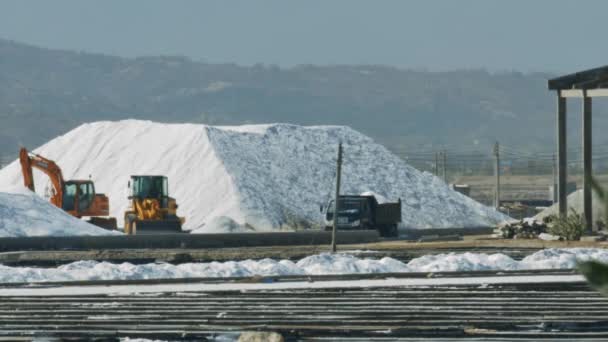 Excavators Truck Operate Huge Marine Salt Heaps Surrounded Vast Extraction — Stock Video