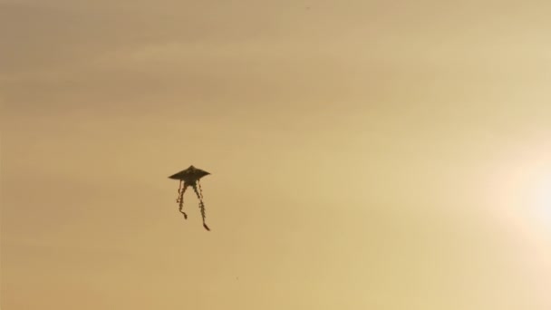 Drachen Fliegt Unter Schnellem Windhauch Gegen Zauberhaften Sonnenuntergang Himmel Goldene — Stockvideo