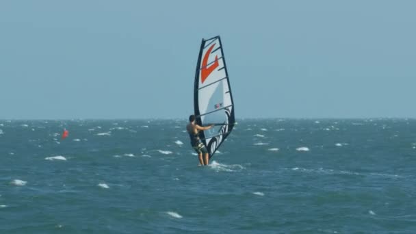 Vista Trasera Windsurfistas Tablas Surf Blancas Con Símbolo Letra Roja — Vídeos de Stock