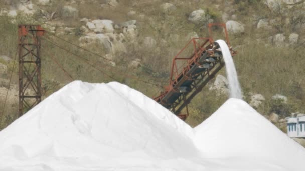 Combine Machine Conveyor Rubber Belt Starts Pour Marine Salt Large — Stock Video