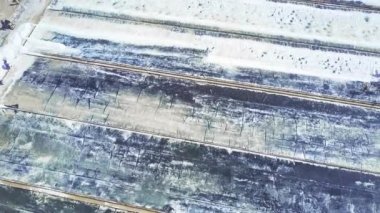 Drone görünümü erkekler büyük tarlaları tuz kırsalında üzerinden temizlenmiş karşı tarımsal ürün toplamak