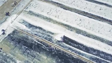 Panorama Asya işçiler ayıklanan tuz kürek ile kırsal alanda büyük beyaz tarlaları üzerinde toplamak