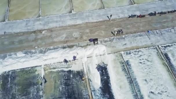 letecké panorama asijských dělníků shromáždit odpařená sůl se speciální lopaty na velkých bílých plantážích ve venkovské oblasti