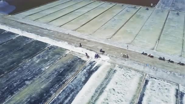 Luchtfoto Enorme Verdampende Zee Zout Plantages Met Leeg Net Verzamelde — Stockvideo