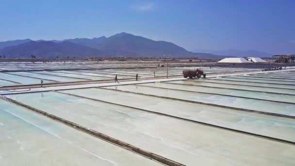 Veicolo Vista Dall Alto Guida Tra Campi Che Producono Acqua — Video Stock