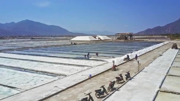 Vista Aérea Trabajadores Asiáticos Recogen Sal Marina Con Palas Terrenos — Vídeos de Stock