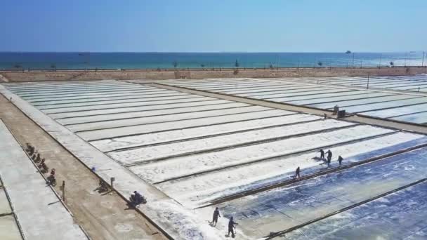 파노라마 노동자 레이크 뜨거운 바다에 농장에 — 비디오