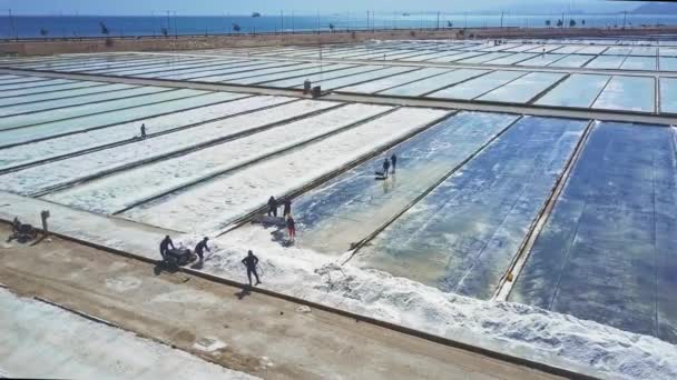 Panorama Aérien Les Gens Travaillent Sur Vastes Champs Sel Sous — Video