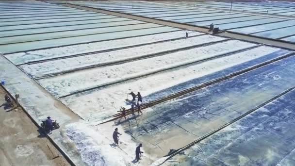 Dron Létá Téměř Lidí Shromažďování Sůl Hromady Stranách Pole Speciální — Stock video