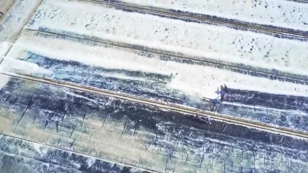 Trabajadores Vista Aérea Recogen Sal Como Producto Agrícola Con Palas — Vídeos de Stock