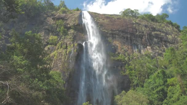 Cascada pintoresca de alto acantilado rocoso con árboles verdes — Vídeo de stock