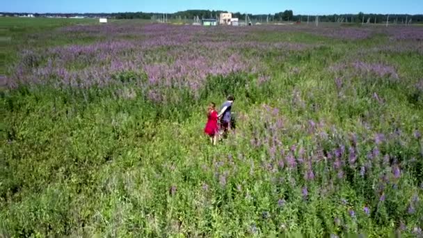 Влюблённые пары бегают по прекрасному полю с фиолетовыми растениями — стоковое видео
