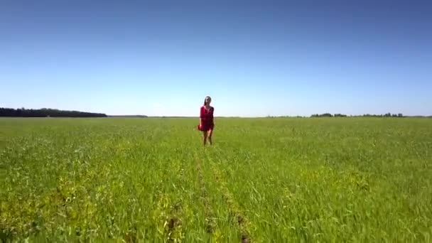 Girl with long slim legs crosses accurately wide green field — Stockvideo