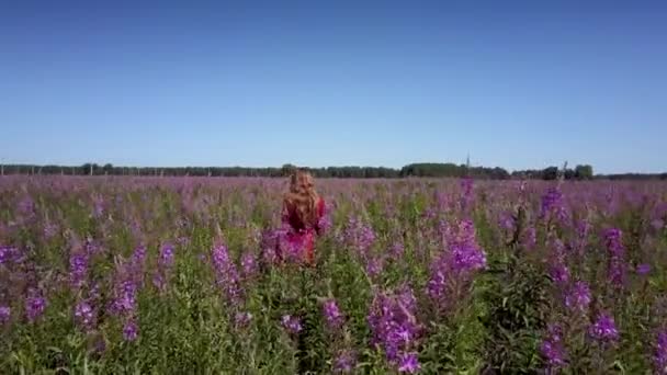 Mädchen im hübschen rot gefleckten Kleid bewegt sich zwischen violetten Pflanzen — Stockvideo