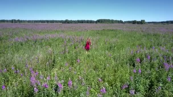 Girl with brown hair and red dress stands amidst field — Stockvideo