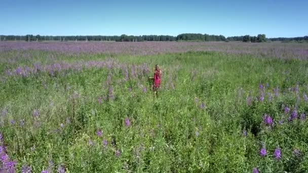 Dame draagt elegante rode jurk staat te midden van breed veld — Stockvideo