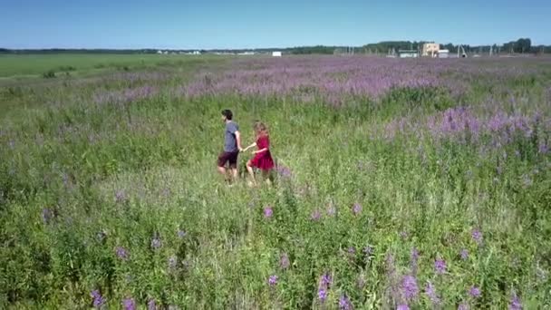 Pěkný pár kráčí směrem k fialové kvetoucí rostliny — Stock video