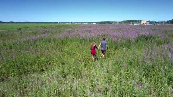 Mädchen und junger Mann gehen akkurat auf der grünen Wiese — Stockvideo