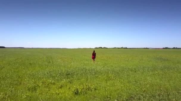 Chica confiada en vestido rojo camina sobre hierba verde vista aérea — Vídeos de Stock
