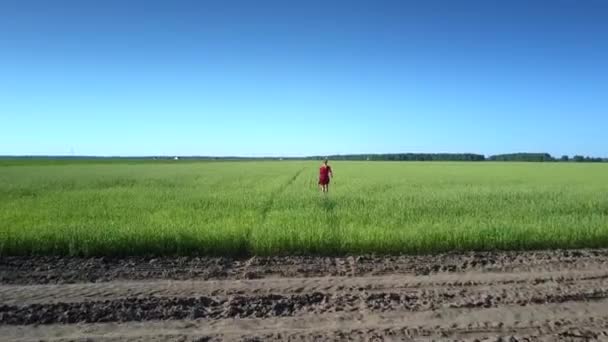 Flycam películas bastante en forma chica corriendo a través de ilimitada campo — Vídeos de Stock