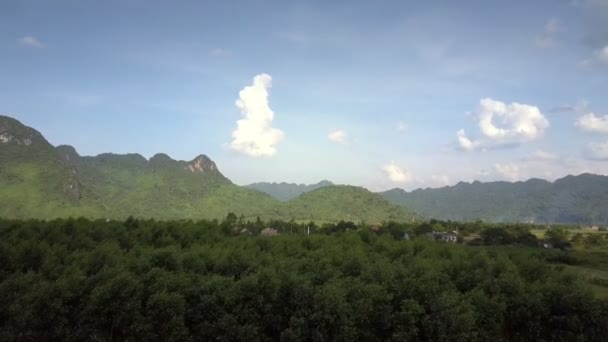 Grove op het veld met planten tegen picturale hemel bovenaanzicht — Stockvideo