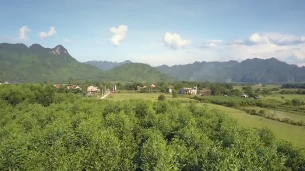 Movimiento aéreo sobre los árboles a la aldea entre campos contra el cielo — Vídeos de Stock