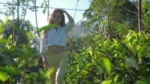 Привлекательная девушка прогулки среди зеленого чая плантации замедленной съемки — стоковое видео