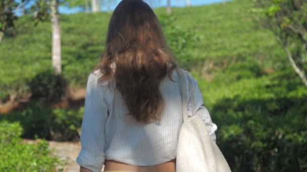ハンドバッグを持つ女性は日当たりの良い公園スローモーションに沿って歩く — ストック動画