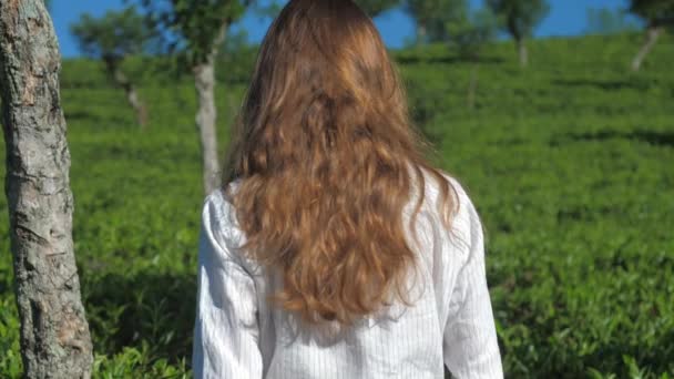 Длинноволосая девушка гуляет в кустах чая замедленной съемки крупным планом — стоковое видео