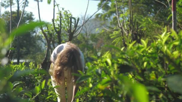Lady bends up adjusts long hair among tea bushes slow motion — 비디오