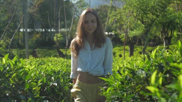 Жінка ходить серед чайної плантації в сонячний день повільний рух — стокове відео