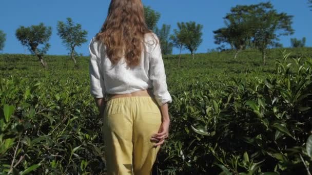 Mädchen watet durch Teesträucher vor blauem Himmel in Zeitlupe — Stockvideo