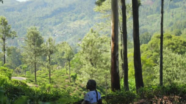 成熟的女人，长着灌木，慢吞吞地在森林里散步 — 图库视频影像