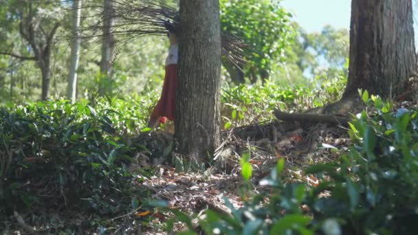 Kvinna i traditionella kläder promenader mellan träd slow motion — Stockvideo