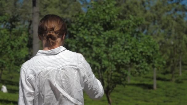 Žena kráčí v blízkosti zeleného čaje plantáže s pracovníky — Stock video