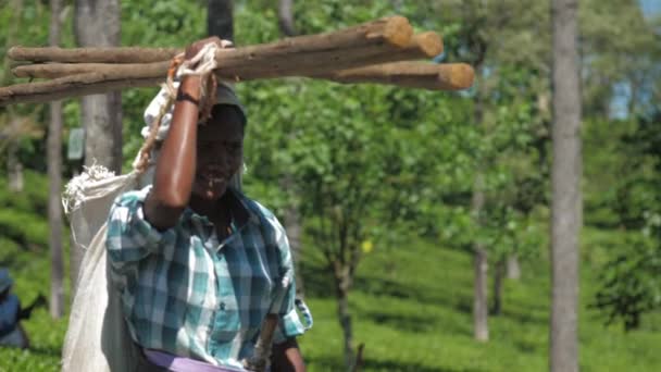 Lady walks holding large logs on head and smiles slow — Stock Video