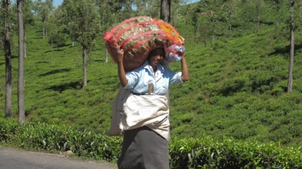 Sonriente dama camina sosteniendo grandes bolsas con hojas de té — Vídeos de Stock