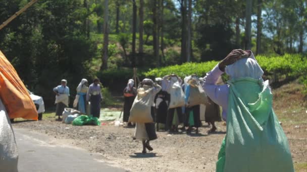 Dames marchent le long de la route asphaltée grise tenant de grands sacs — Video