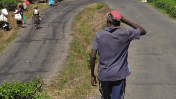 Homme marche pour les travailleurs remplissage remorque avec des feuilles de thé — Video