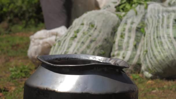 Fervuras de água com vapor em panela de metal refletindo a luz solar — Vídeo de Stock