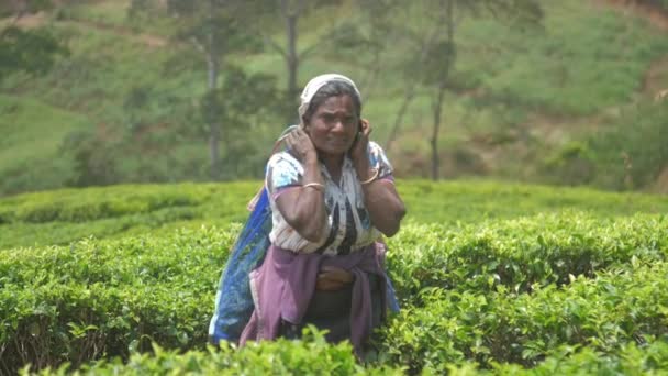 Mulher no curativo tradicional caminha ao longo da plantação verde — Vídeo de Stock