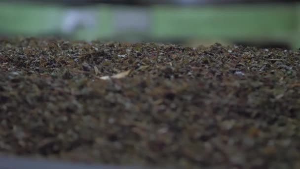 Tea leaves lie on large pile against blurry drying machine — 비디오