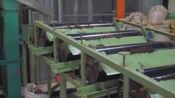 Grüner Schütteltee Craft-Maschine mit braunen getrockneten Blättern — Stockvideo