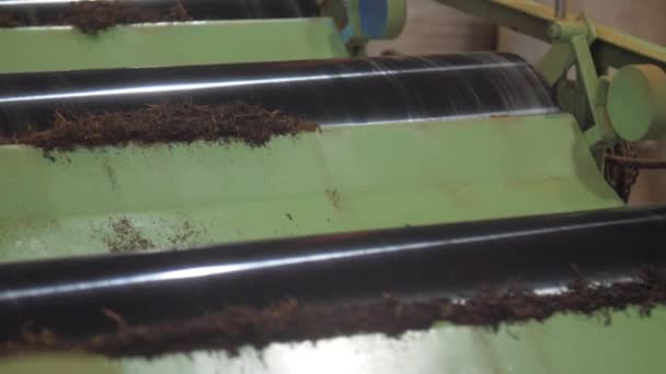 Máquina de artesanato chá agitação verde com folhas secas marrons — Vídeo de Stock