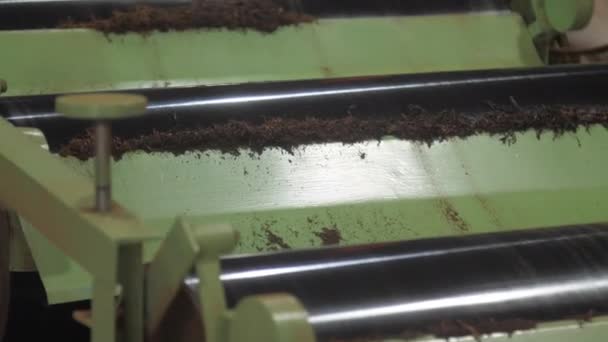 Zwarte thee ambachtelijke machine details roteren bruine bladeren — Stockvideo